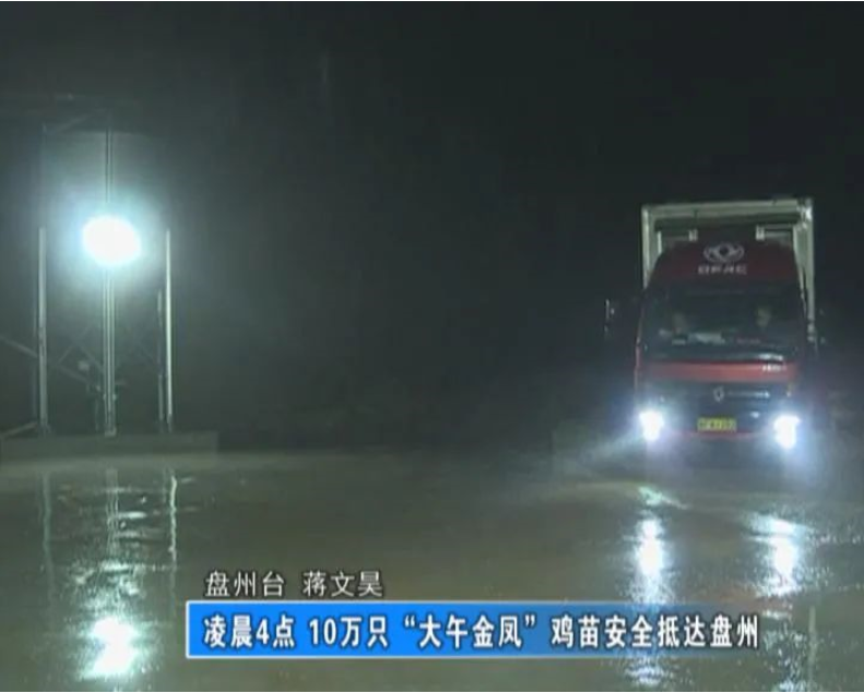 在东西部扶贫协作的大力帮扶下，贵州首页| J9国际集团中国官方网站在盘州市羊场乡徐家寨村成立了j9国际集团蛋业有限公司。公司采用自动化、集约化、标准化的生产体系，严把产品质量，助力盘州脱贫攻坚。